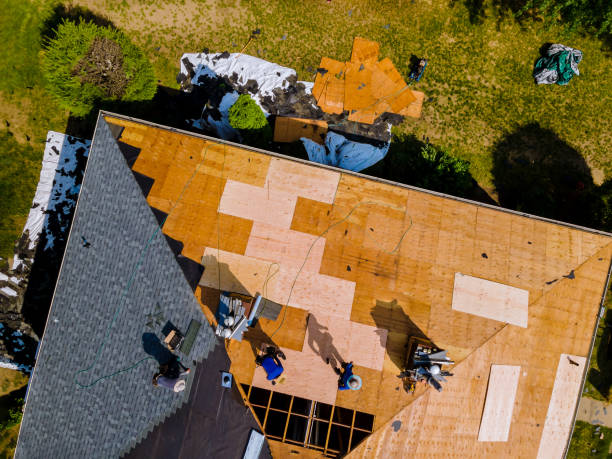Roof Gutter Cleaning in South Carthage, TN